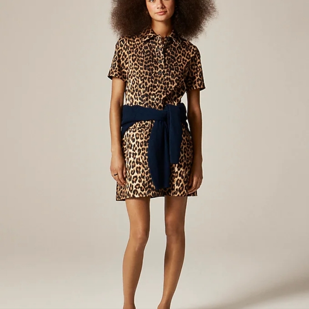 J Crew Parc Leopard Print Short Sleeve Dress Size 2